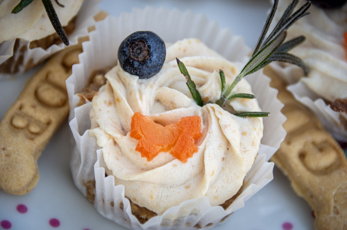 Cupcake artisanal pour chien avec glacage au yaourt, myrtille et romarin