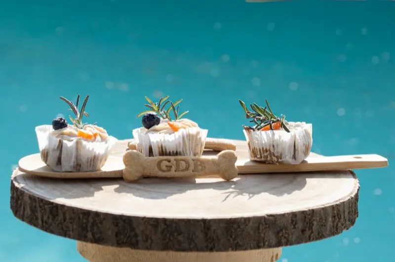 Cupcakes artisanaux pour chien décorés au yaourt, myrtilles et romarin