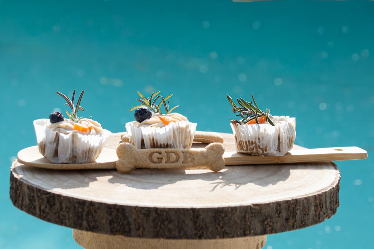 Cupcakes artisanaux pour chien présentés au bord de la piscine