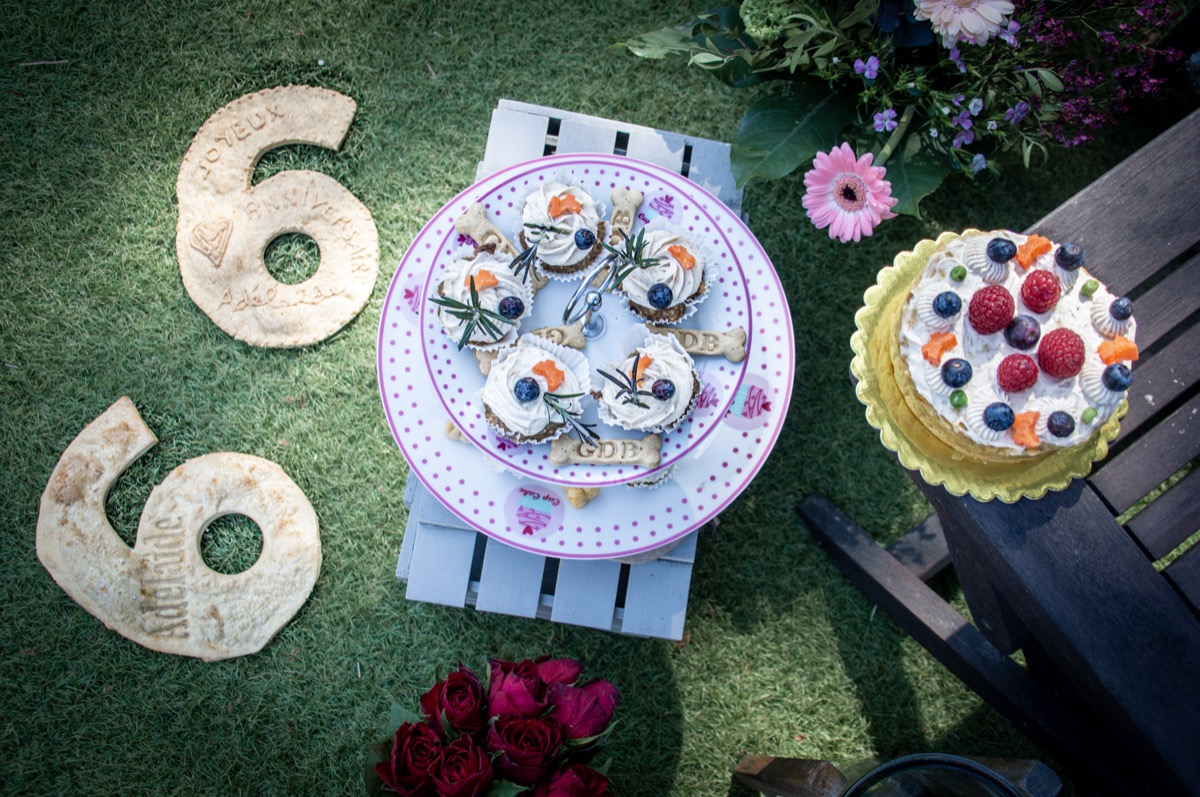 Fête d'anniversaire pour chien avec number cake, cupcakes et biscuits artisanaux