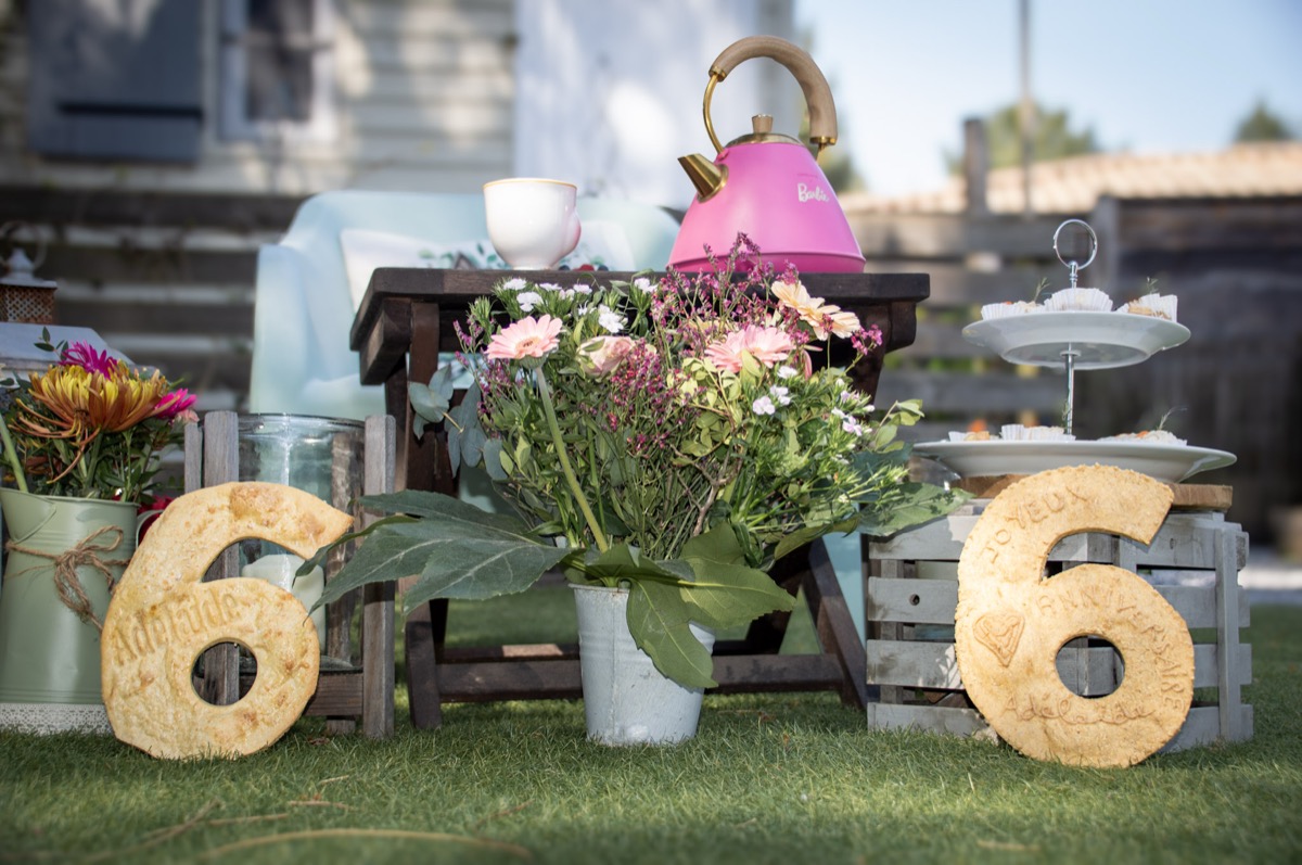 Decoration de fete d'anniversaire pour chien avec number cakes, fleurs et patisseries artisanales