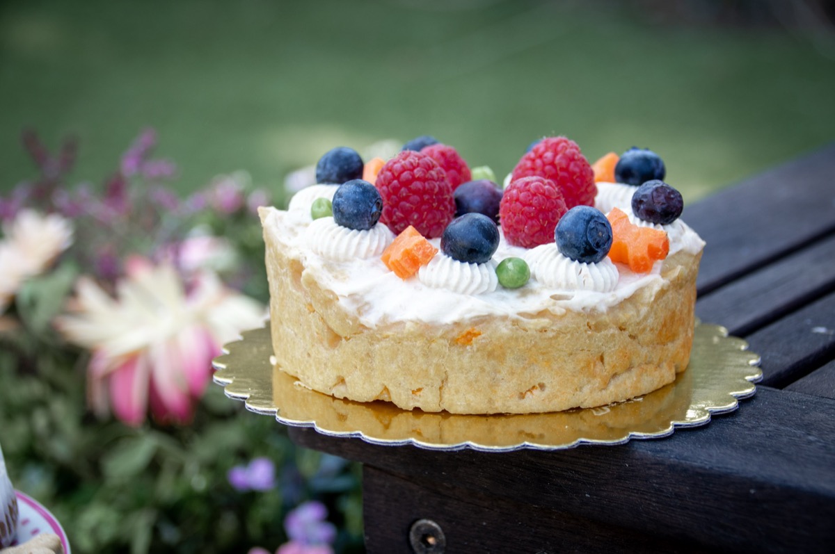 Gâteau d'anniversaire artisanal pour chien décoré de framboises, myrtilles et crème naturelle