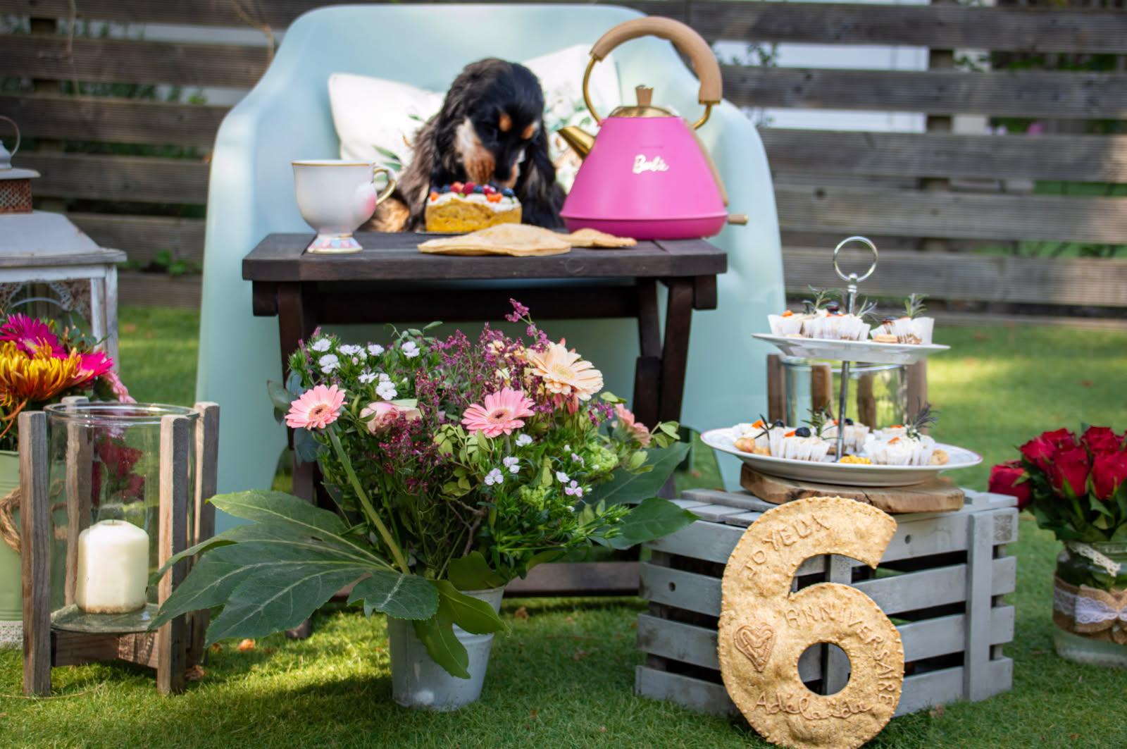 Coffret cadeau de friandises naturelles pour chien artisanales prêt à offrir