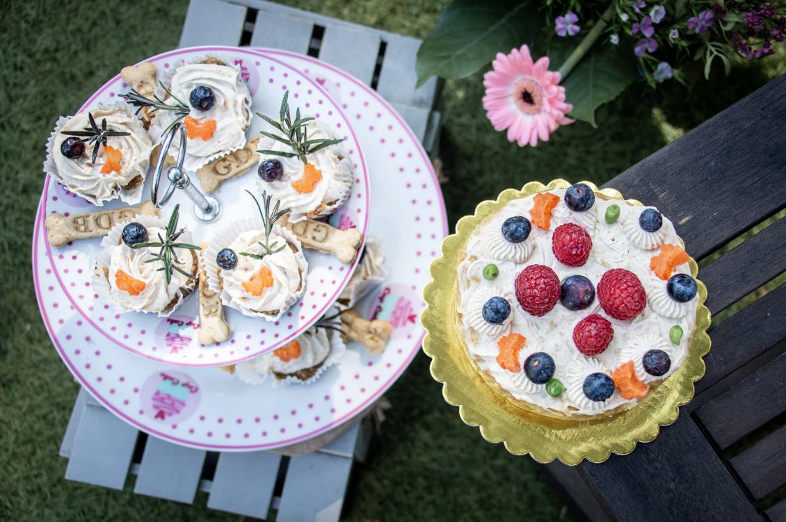 Gâteau d'anniversaire naturel pour chien décoré de fruits frais artisanaux